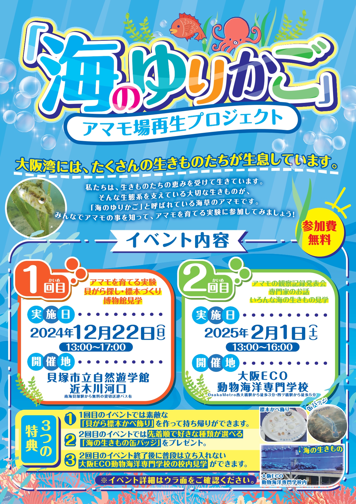 ―「海のゆりかご」アマモ場再生プロジェクト―